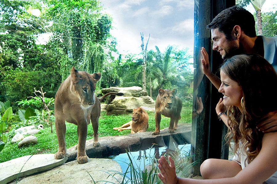 01-bali-zoo