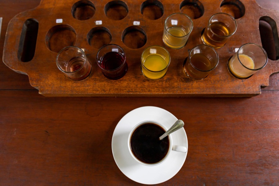 coffee plantation